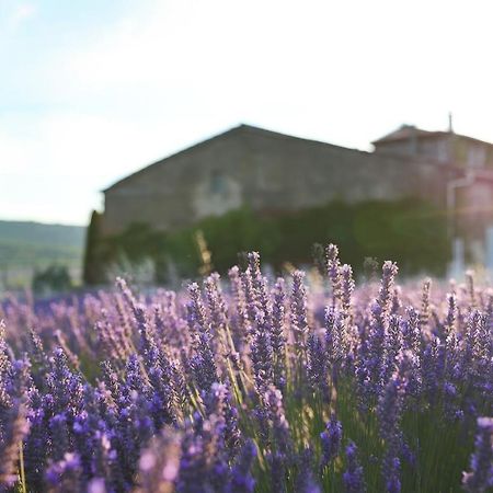 Mas Des Baussiers Villa Saint-Martin-de-Castillon Exterior photo