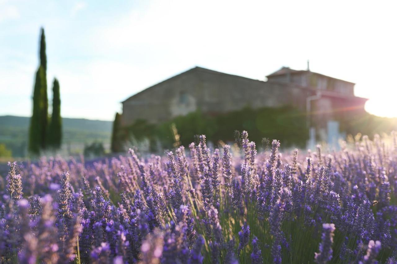 Mas Des Baussiers Villa Saint-Martin-de-Castillon Exterior photo